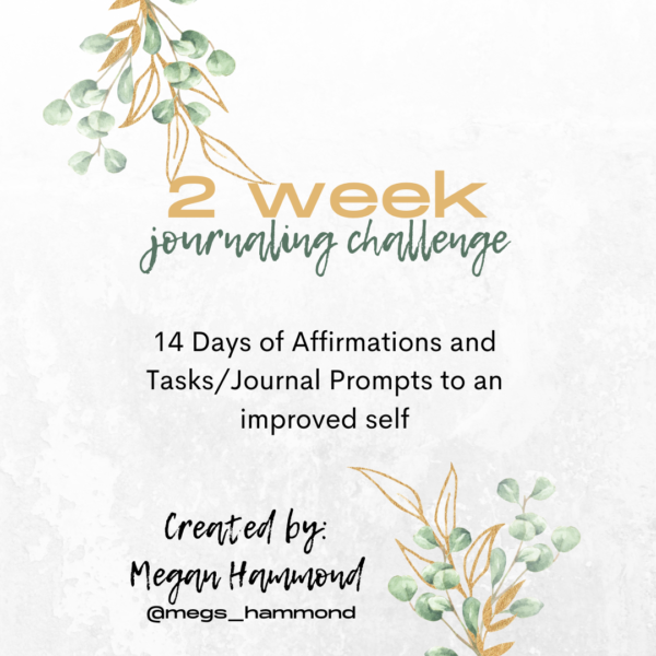 2 Week Journaling Guide